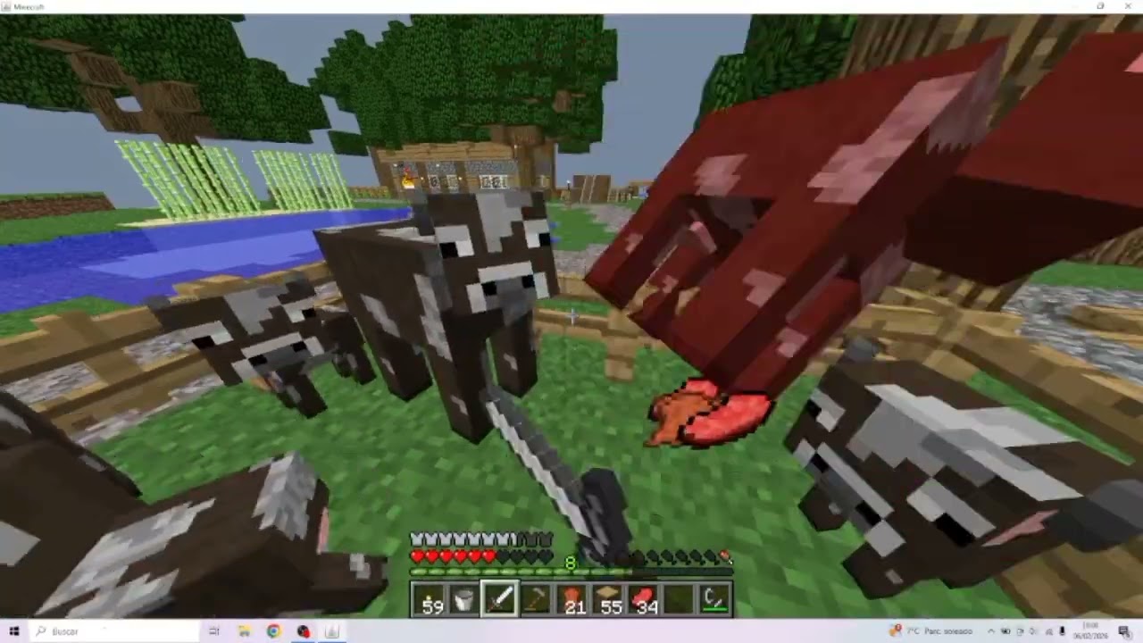 Pico y fuente |Survival 1.2.5 #16