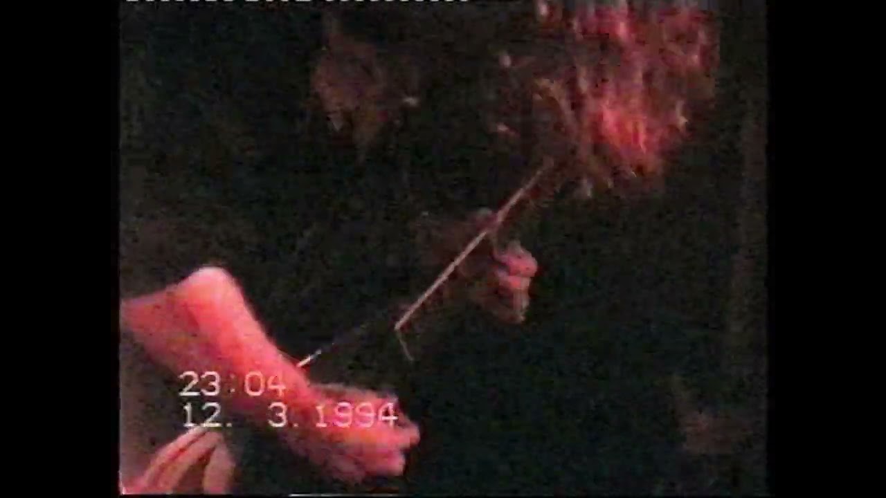 NEOPHOBIA - Immigrant Enemy (Live Wollongong 1994)