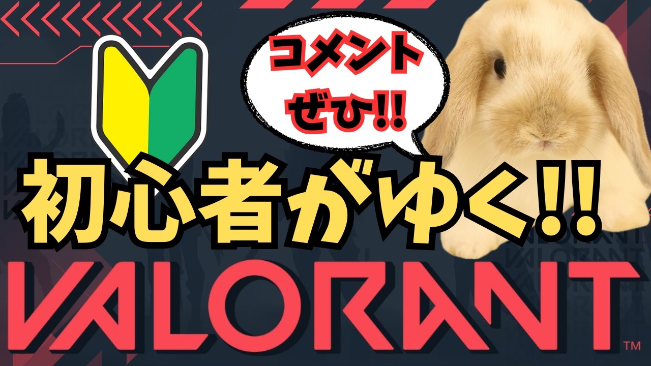 【VALORANT】　ソロコンペいくで！