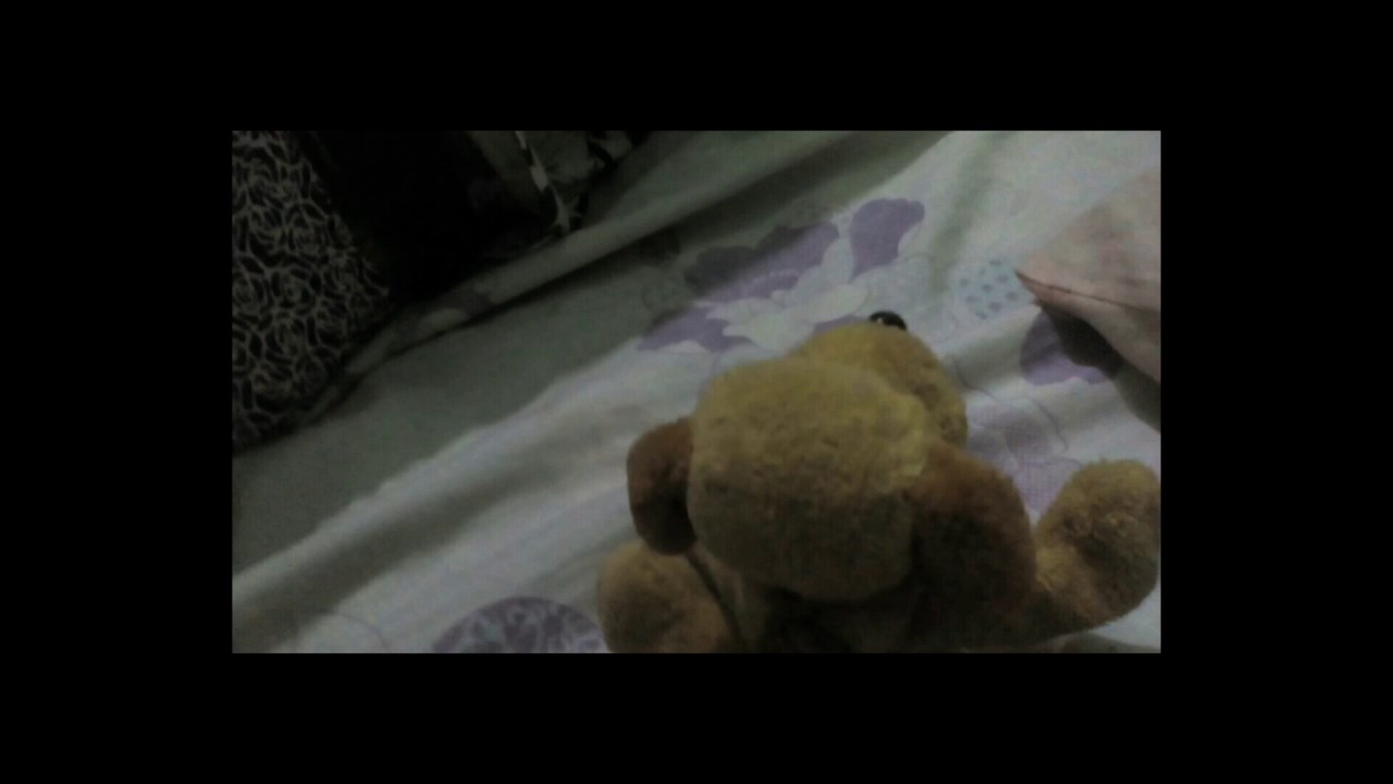 A Dog And Camel love Story&trade;