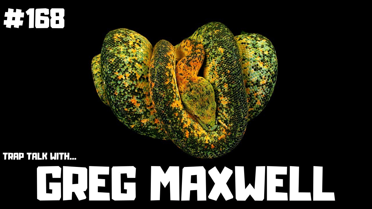 #168 GREG MAXWELL REPTILES | GREEN TREE PYTHONS | THE MORE COMPLETE CHONDRO AUTHOR | TRAP TALK