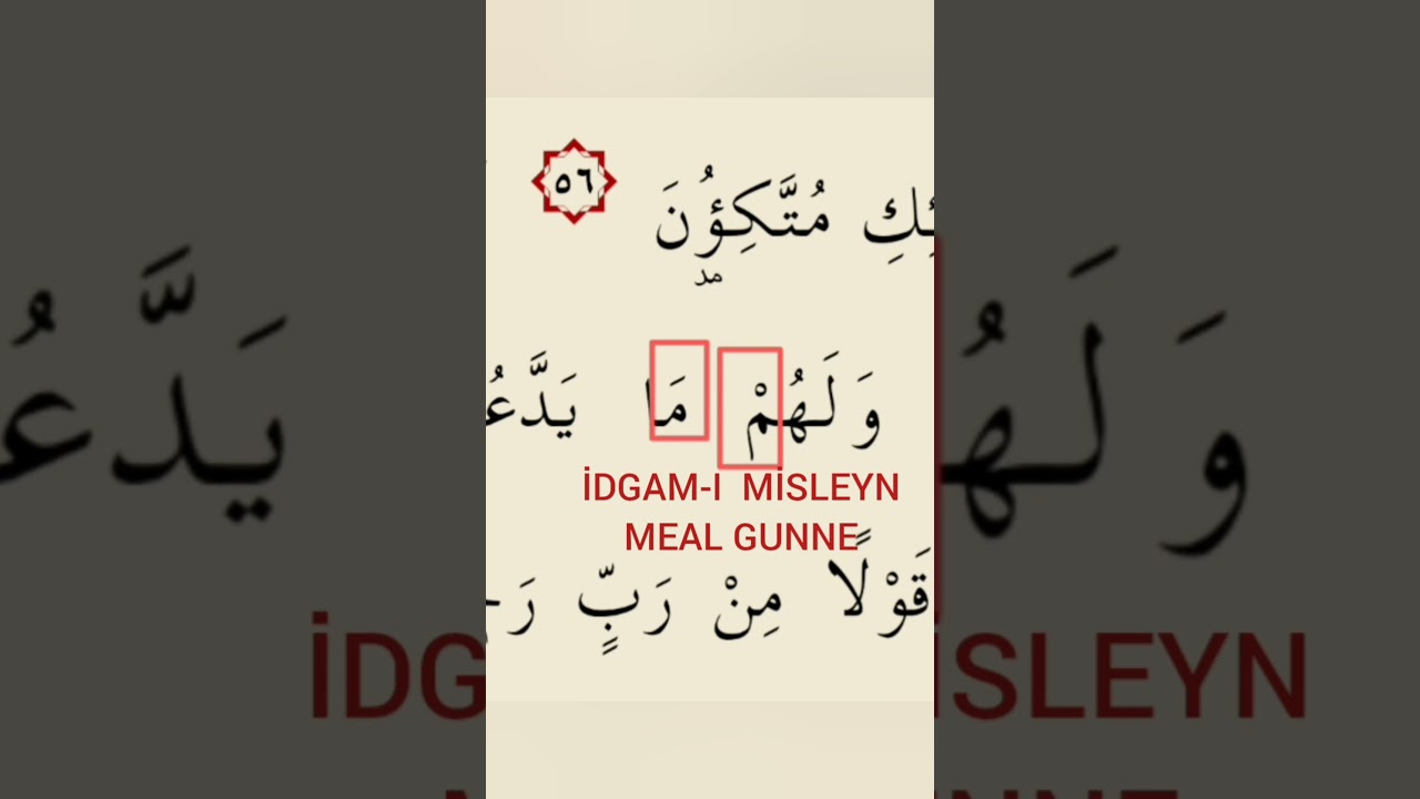#idgam #tecvid #kuranıkerim #tecvit #kuran #kuran&ouml;ğreniyorum #eğitim #education #shorts