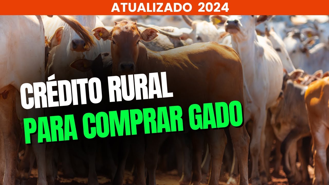 CRÉDITO RURAL PARA COMPRAR GADO