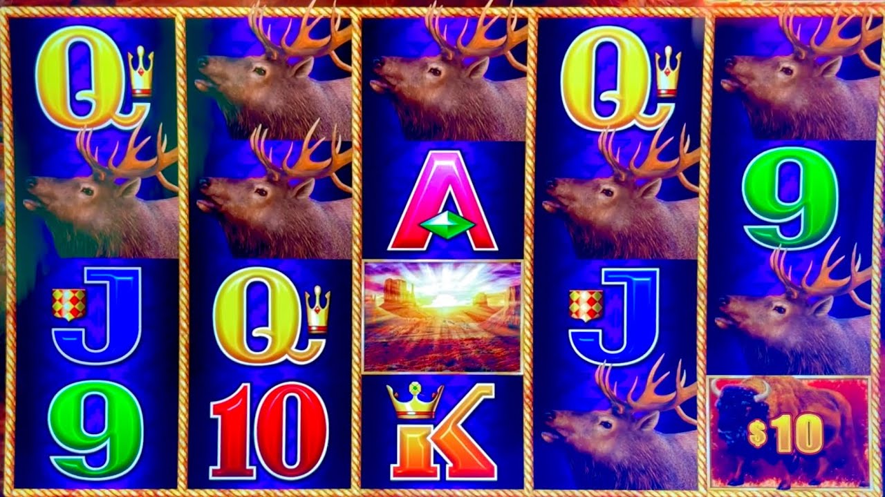 AMAZING BIG WINS ON BUFFALO LINK #slotman #casino #buffalo
