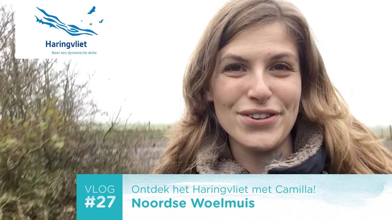 VLOG #27: Noordse Woelmuis