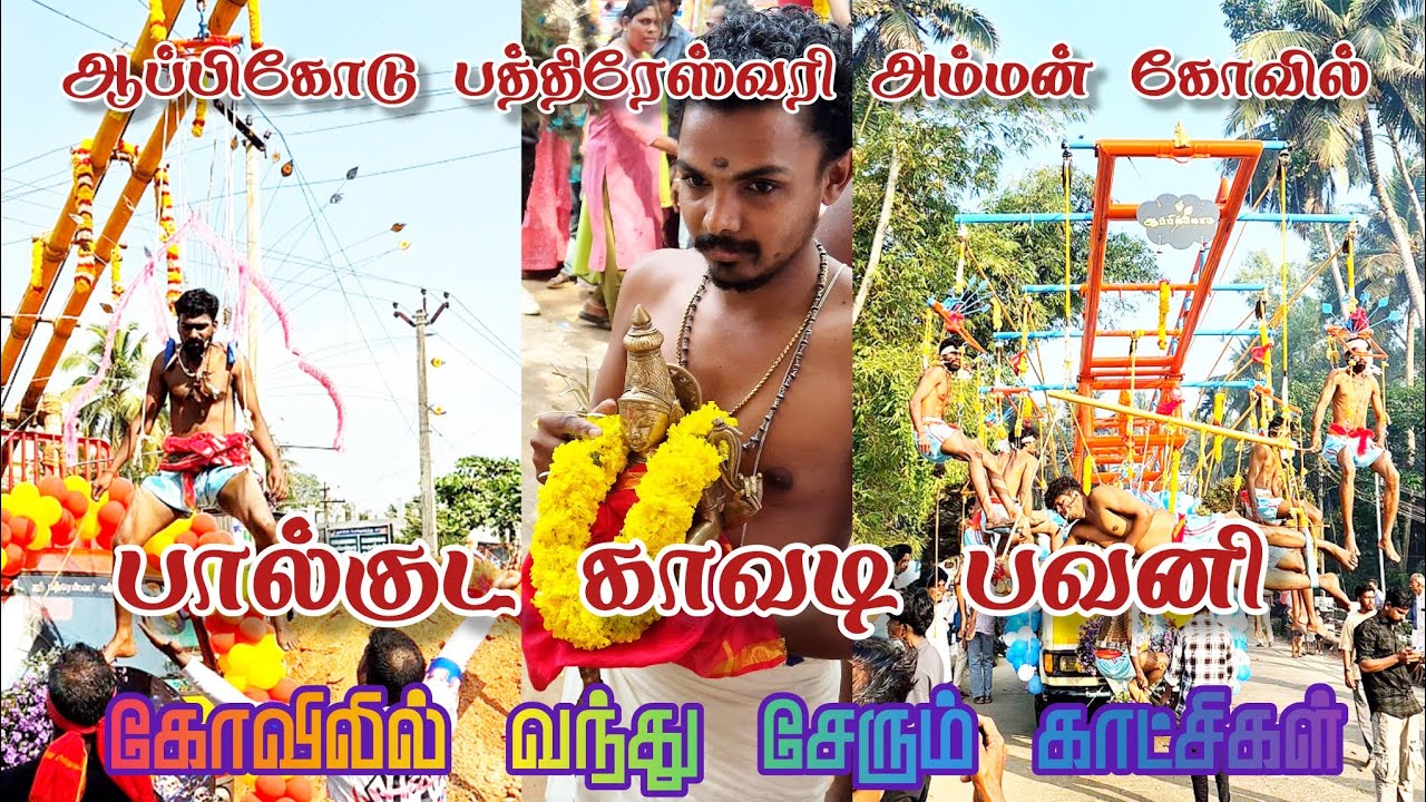 ஆப்பிக்கோடு பத்ரேஸ்வரி அம்மன் திருக்கோயிலில் நடைபெற்ற ஊர்வலம் கோவிலை வந்தடையும் காட்சிகள்08/02/2026