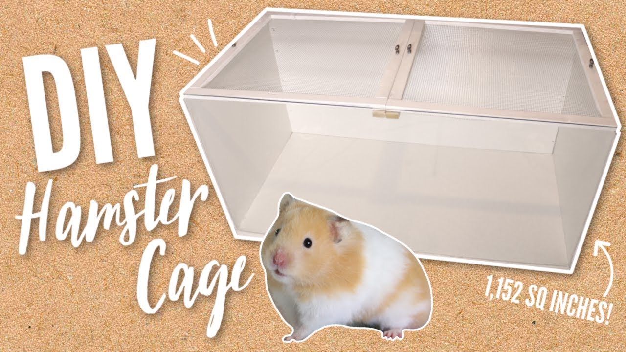 Building a NEW DIY Hamster cage