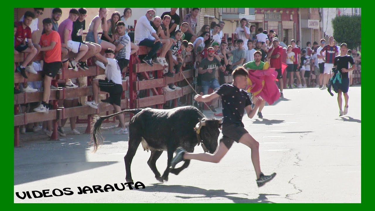 CABANILLAS ( NAVARRA ) TARDE VACAS CALLE ( DOMINGO 5 JUNIO 2022 ) EULOGIO