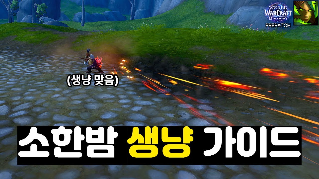 소한밤 생냥 가이드