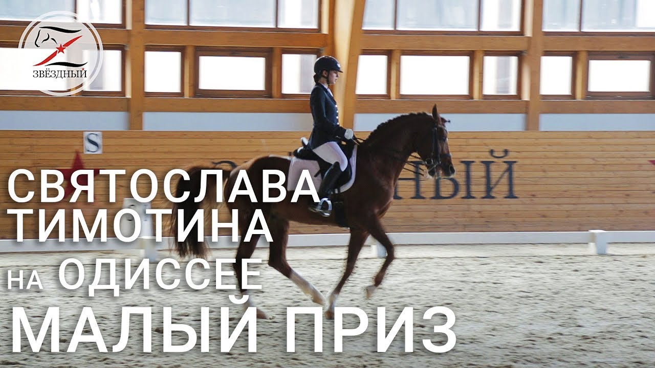 Тимотина Святослава на Одиссее. Выездка. Малый приз - 62,206%