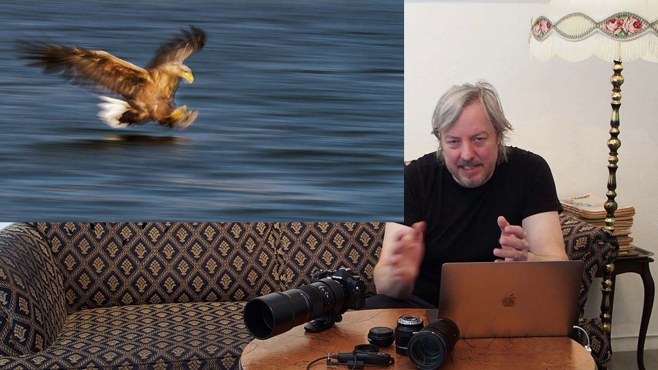 Fotomesse Kai Jensen - Fuglefoto fra F til O