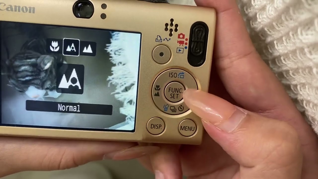 Canon IXUS 80 IS | CCD Test & Tutorial