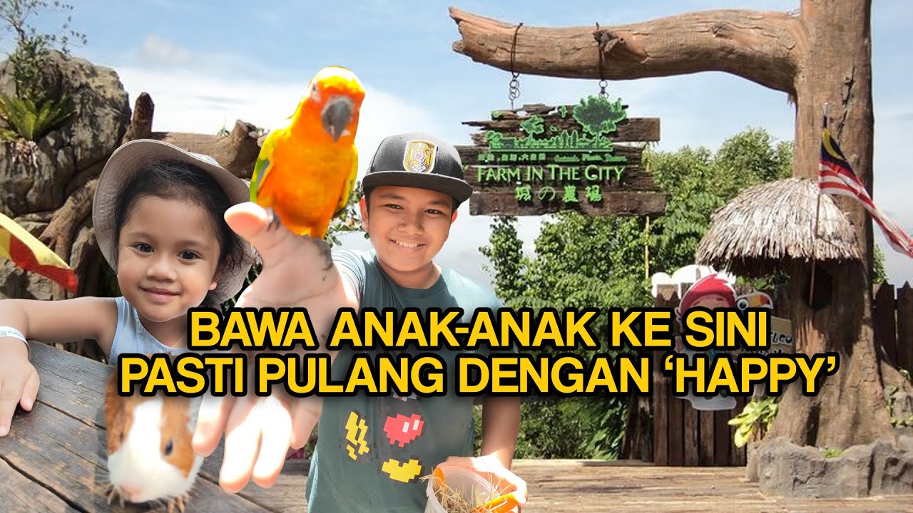 TENGOK VIDEO NI SEBELUM KE FARM IN THE CITY, SERI KEMBANGAN