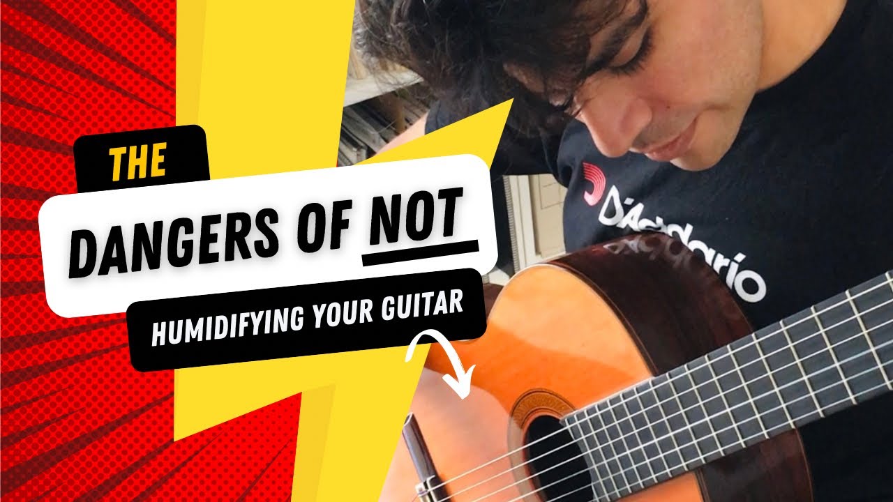 Guitar Humidification 101: D’Addario HUMIDIPAK Automatic Humidity Control System (For Guitar)