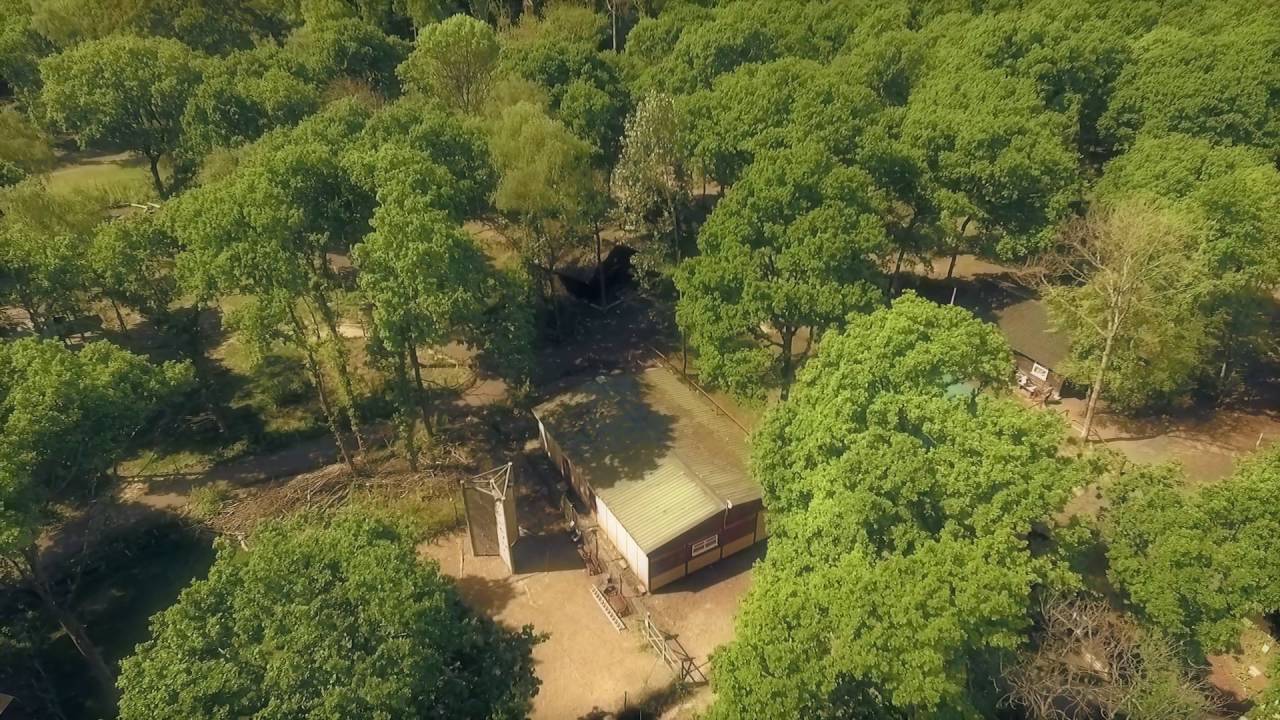 Bushy Wood Scout Camp and Activity Centre, East Sussex.