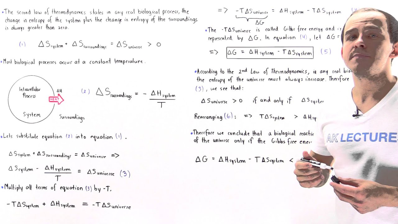 Gibbs Free Energy