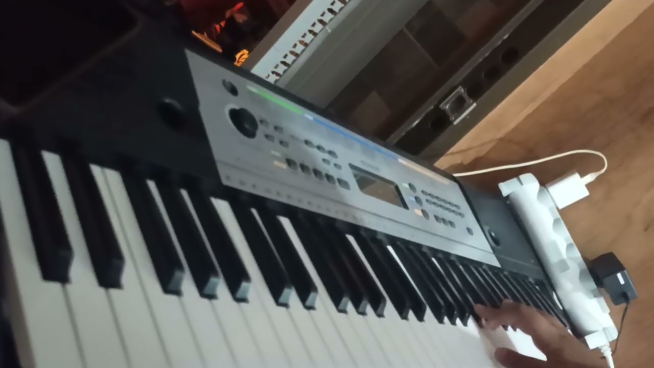 TAKSSIM Accordion 