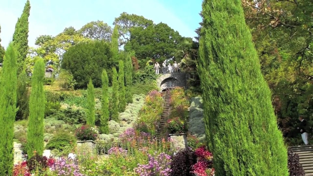 Dahlias, Insel Mainau, Bodensee