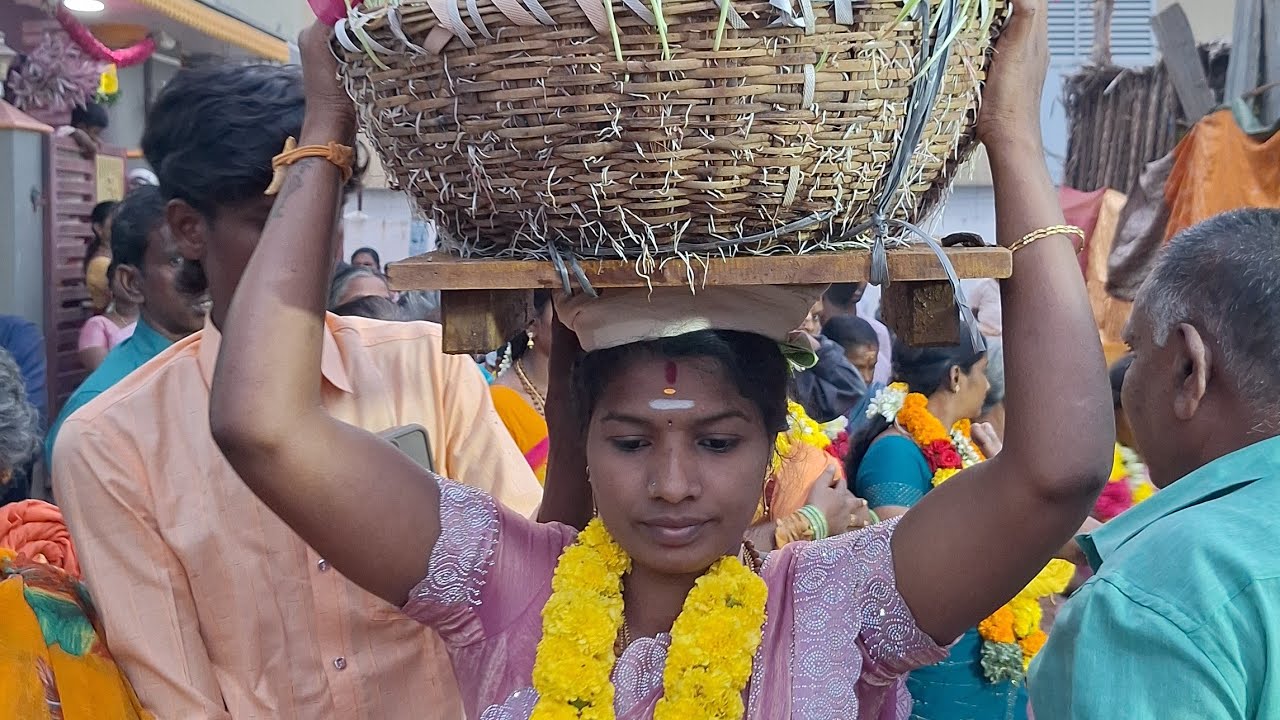 தீபாச்சி மாரியம்மன் முளைப்பாரி ஊர்வலம் | செங்கோட்டை பார்டர்