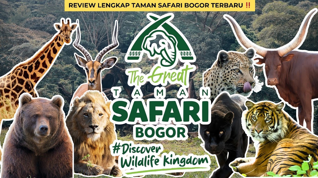 TAMAN SAFARI BOGOR - REVIEW LENGKAP TAMAN SAFARI BOGOR TERBARU ‼️