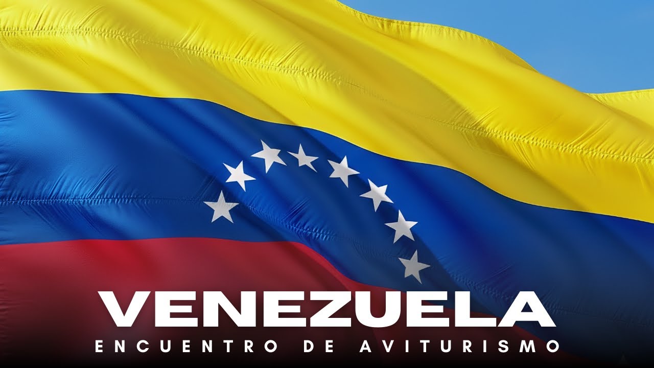 Venezuela - Táchira encuentro de avistamiento de aves