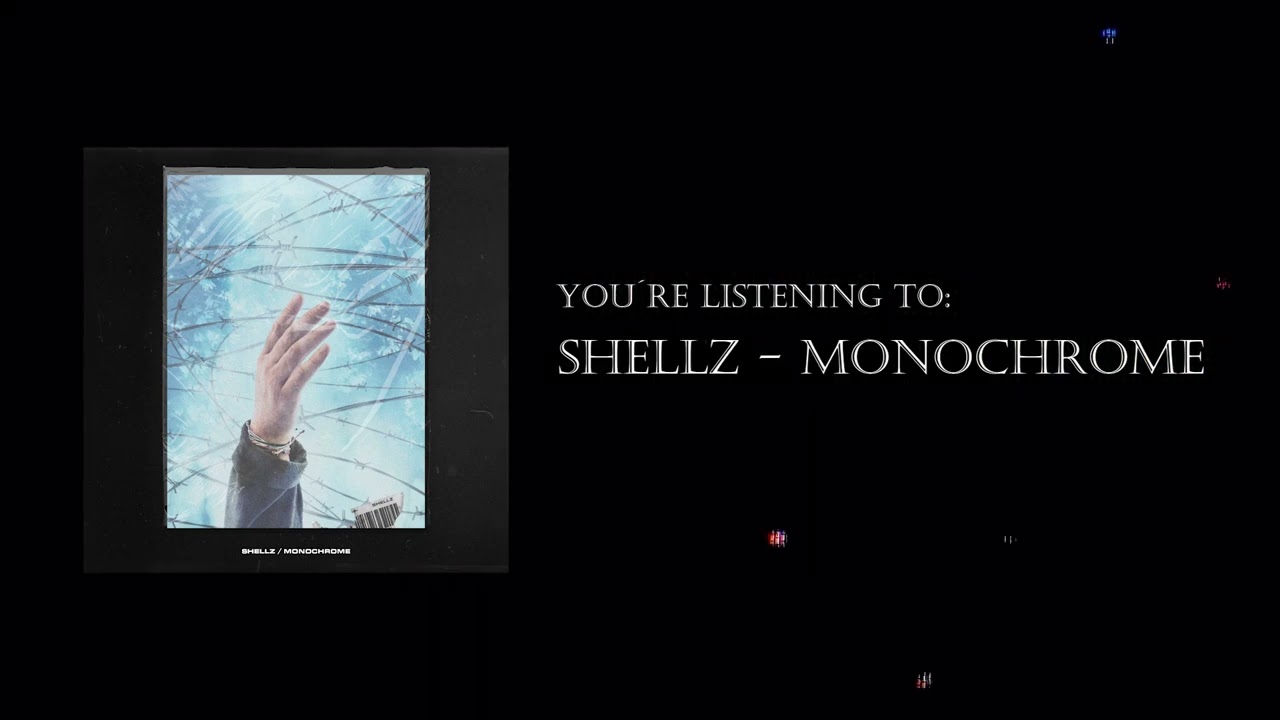 Shellz - Monochrome (Official Visualizer)
