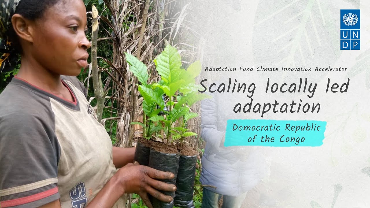 Growing forests and livelihoods with caterpillar trees in DRC: Pilier aux Femmes Vulnérables Actives