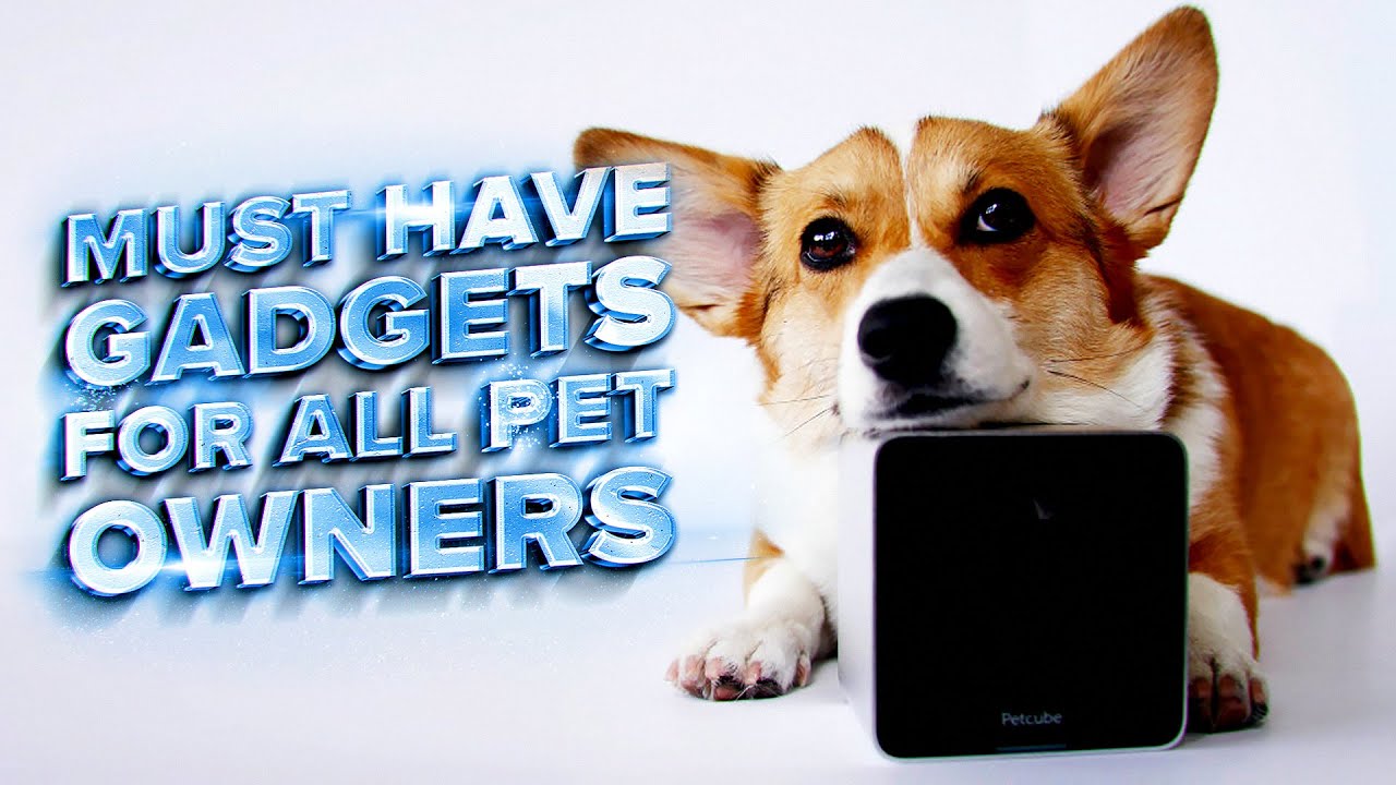 10 must have gadgets for pets