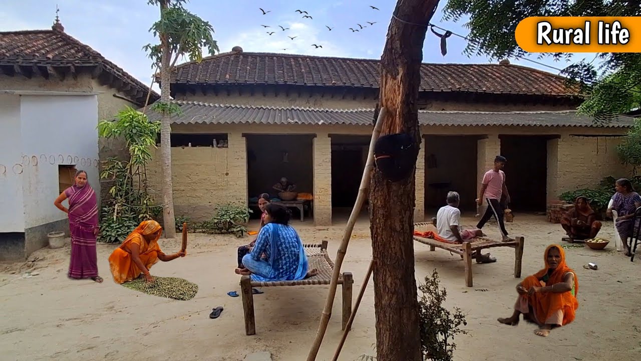 This is U.P. Most Peaceful Indian Village Lifestyle || Most Beautiful Villages of Uttar Pradesh