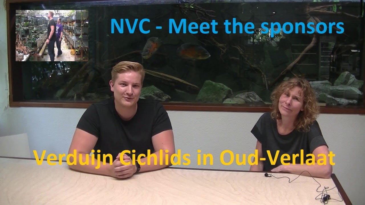 Meet the sponsors:  Aquariumspeciaalzaak Verduijn Cichlids