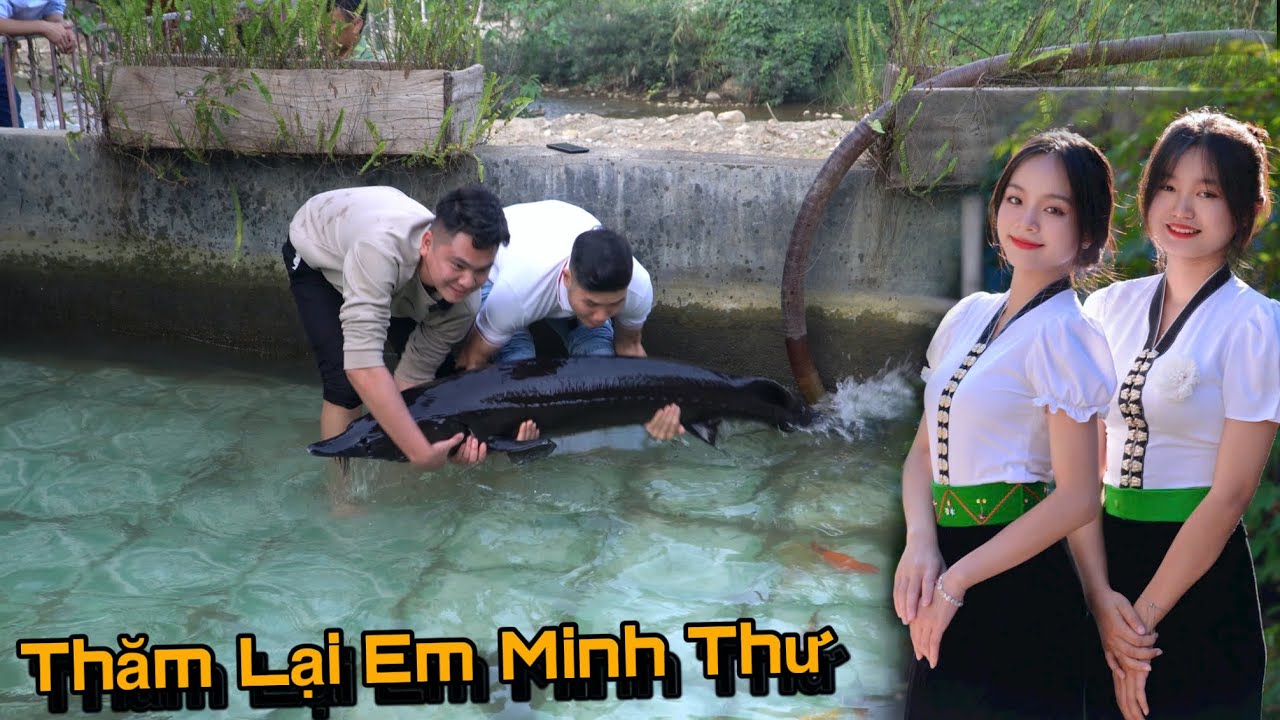 Bắt Cá Tầm To Đi Hỏi Vợ Người Thái Trắng...!