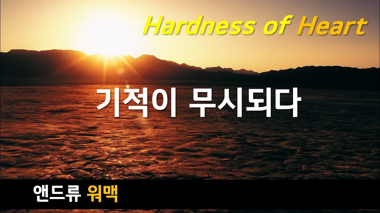 마음의 굳어짐12 | 앤드류 워맥