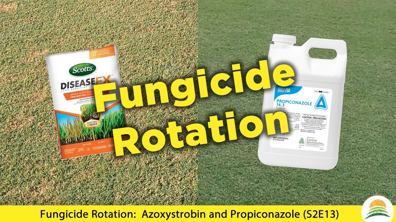 Fungicide Rotation:  Azoxystrobin and Propiconazole ☀️ (S2E13)