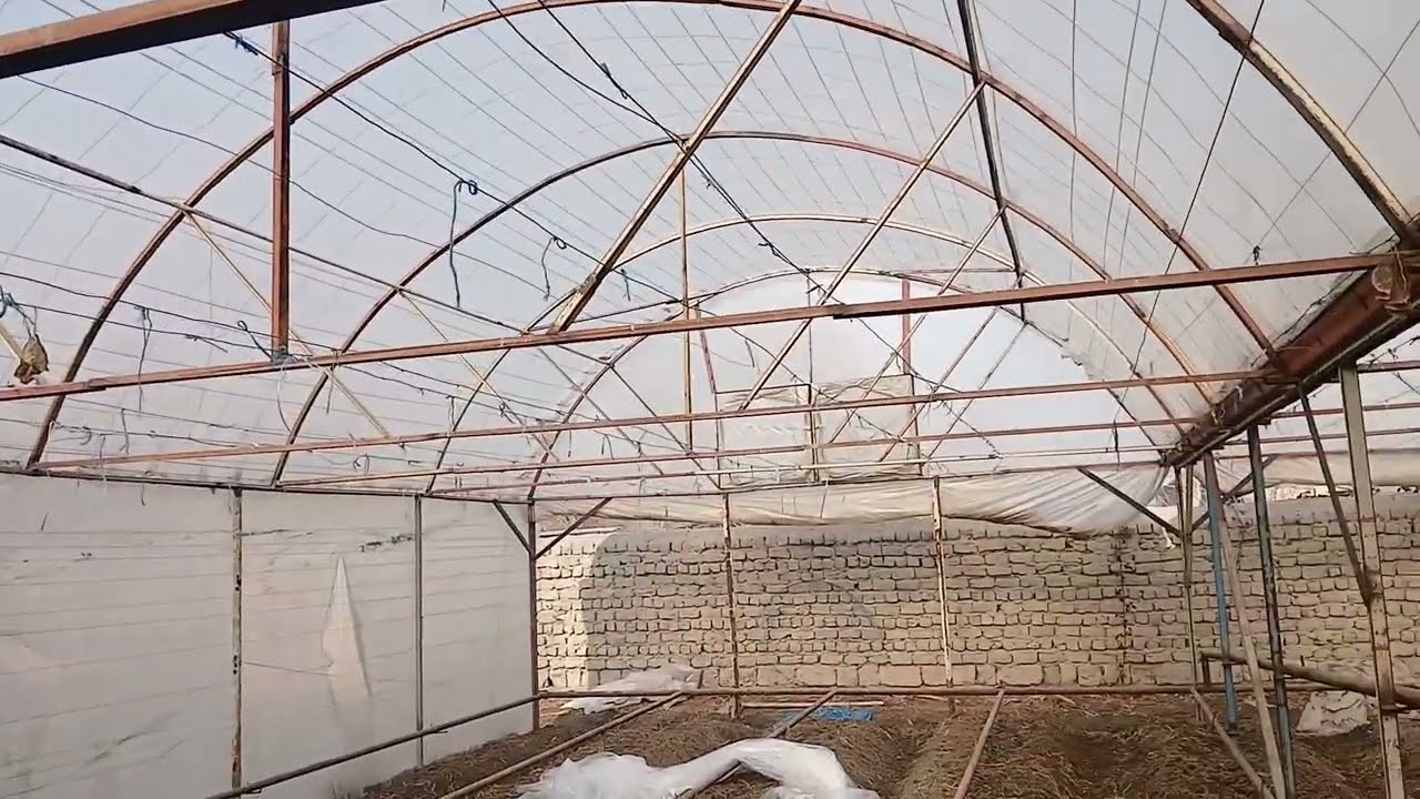 TERMIZ  TORTISH TO‘GʻRISIDA  OZGINA MASLAXAT 