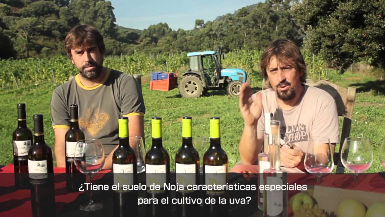 Bodegas Vidular - Vendimia en Noja