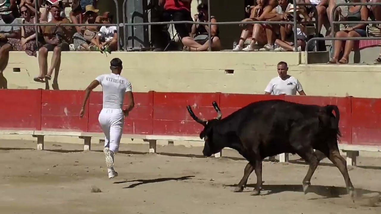 Ecole taurine de Sommières