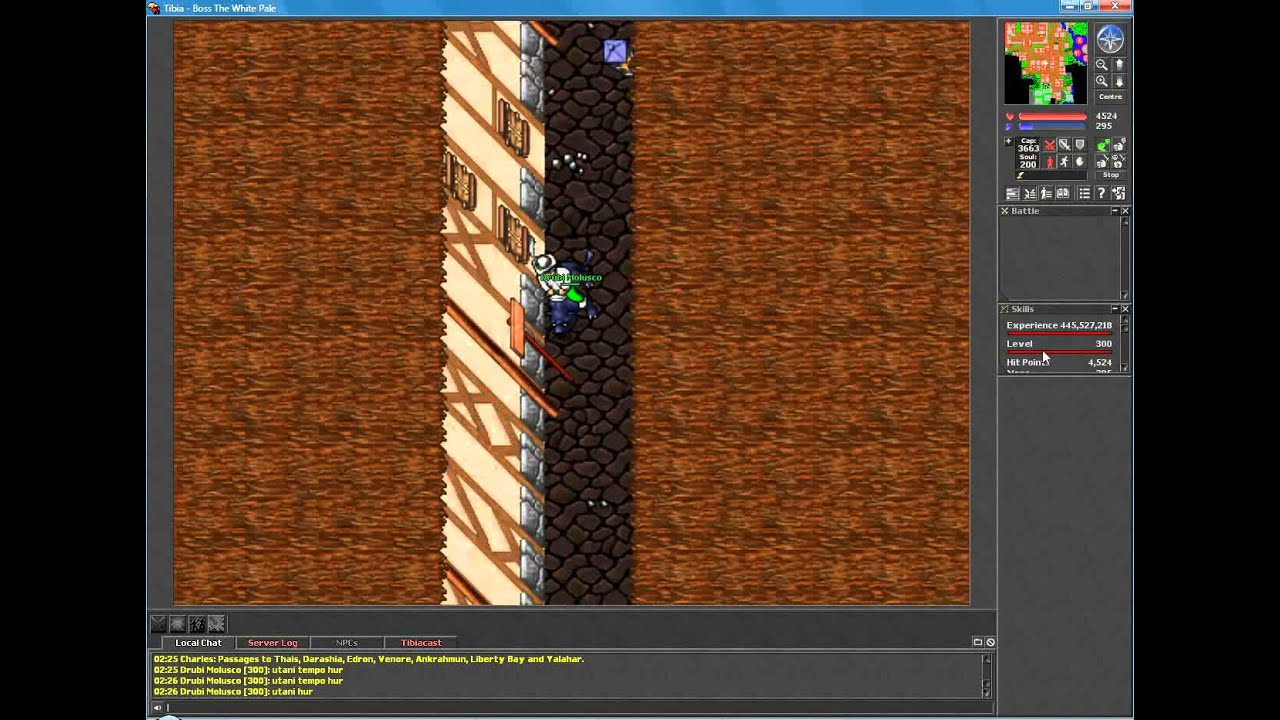 Tibia - Pacera Server - White Pale (Rotworm Boss)
