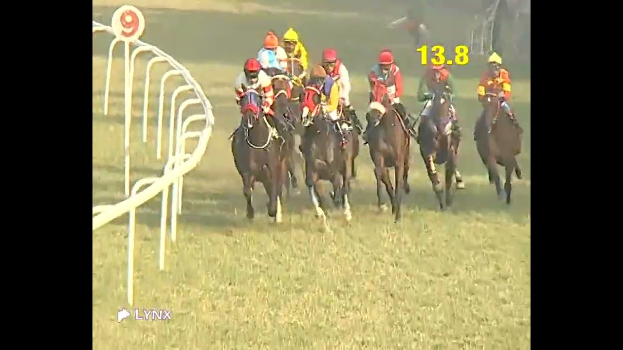 #Delhi Race No 4 The Ardent Knight Plate Div 2/ win - EASTERN CROWN / Jockey - R Rakesh/ #video 2025