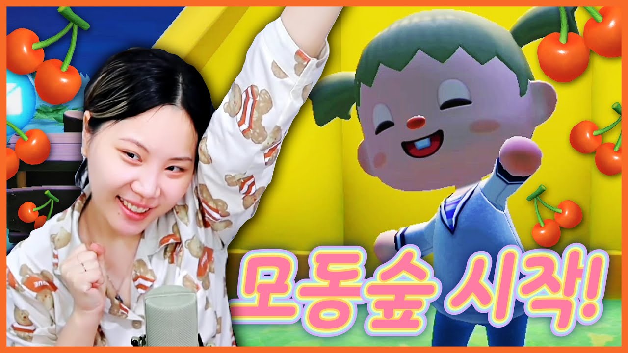드디어 지컨도 모동숲 시작! 1일차부터 놀동숲 짬바가 느껴지는 지독한 플레이~ [🌴#모동숲 1일째]