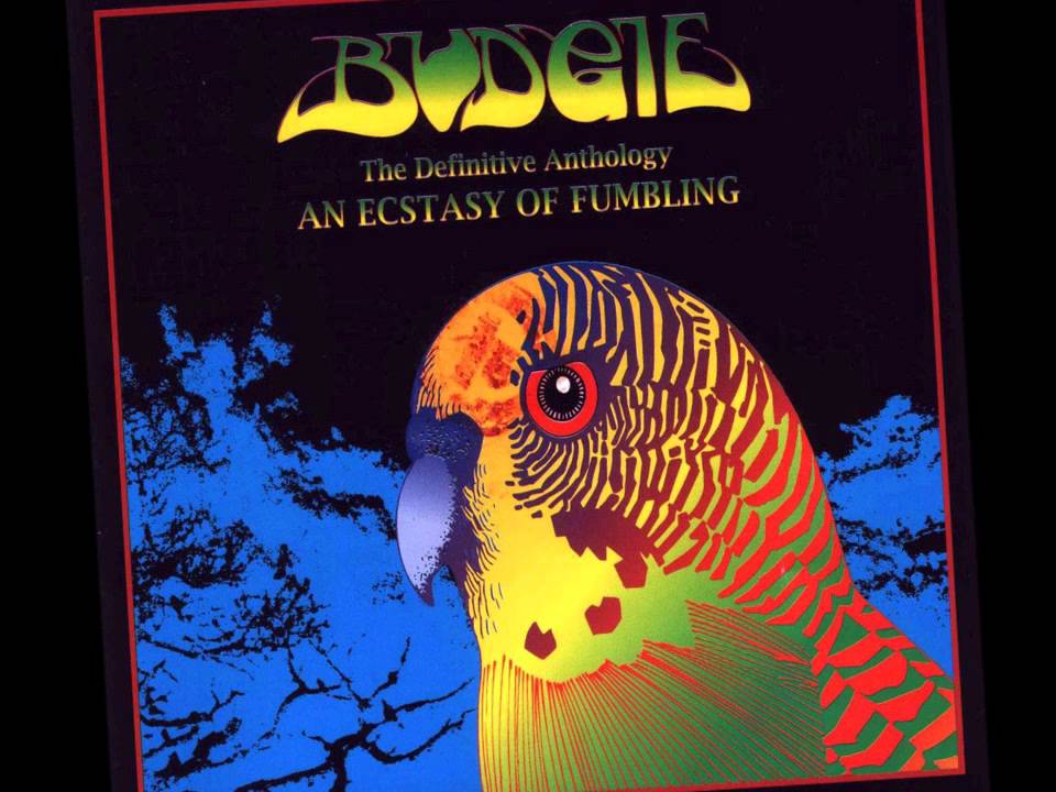 Budgie- Beautiful lies