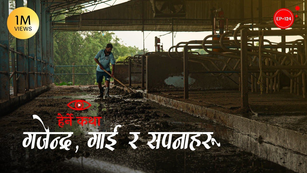 गजेन्द्र, गाई र सपनाहरु | Gajendra, Gai ra Sapanaharu | Herne Katha EP124 - हेर्ने कथा