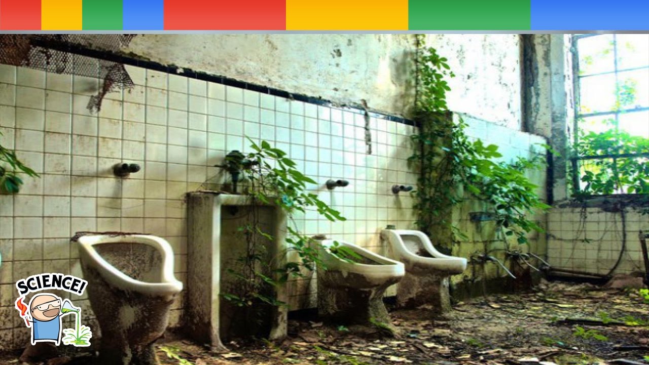 The Amazing Photos Of Nature Winning The Battle Against Civilization