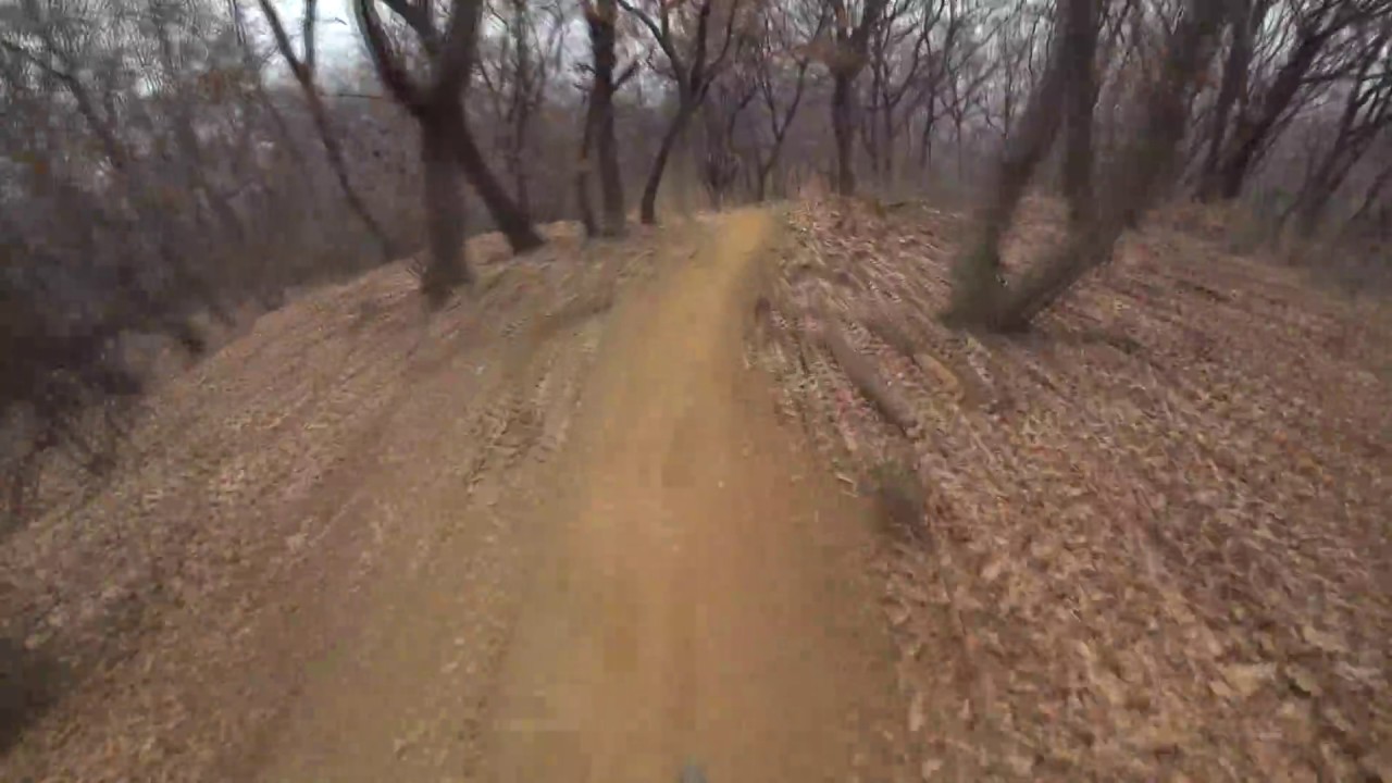 우면산 라이징 - 하드테일올마 다운/ Hardcore hardtail(Ns bikes Surge evo)Down hill -
