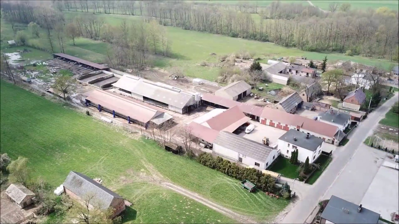 Wiosna 2018 GR Matysiak