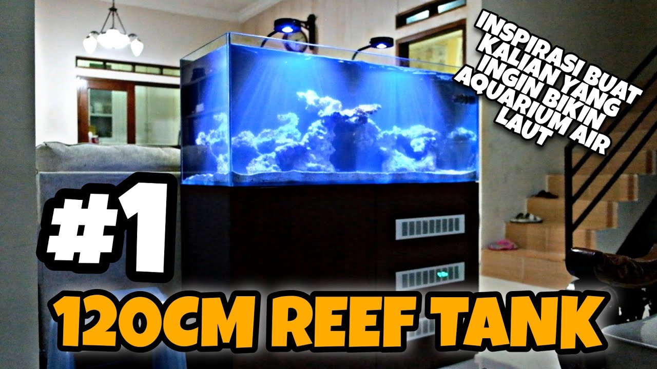 INSPIRASI BUAT KALIAN YANG INGIN BIKIN AQUARIUM AIR LAUT | 120CM REEF TANK