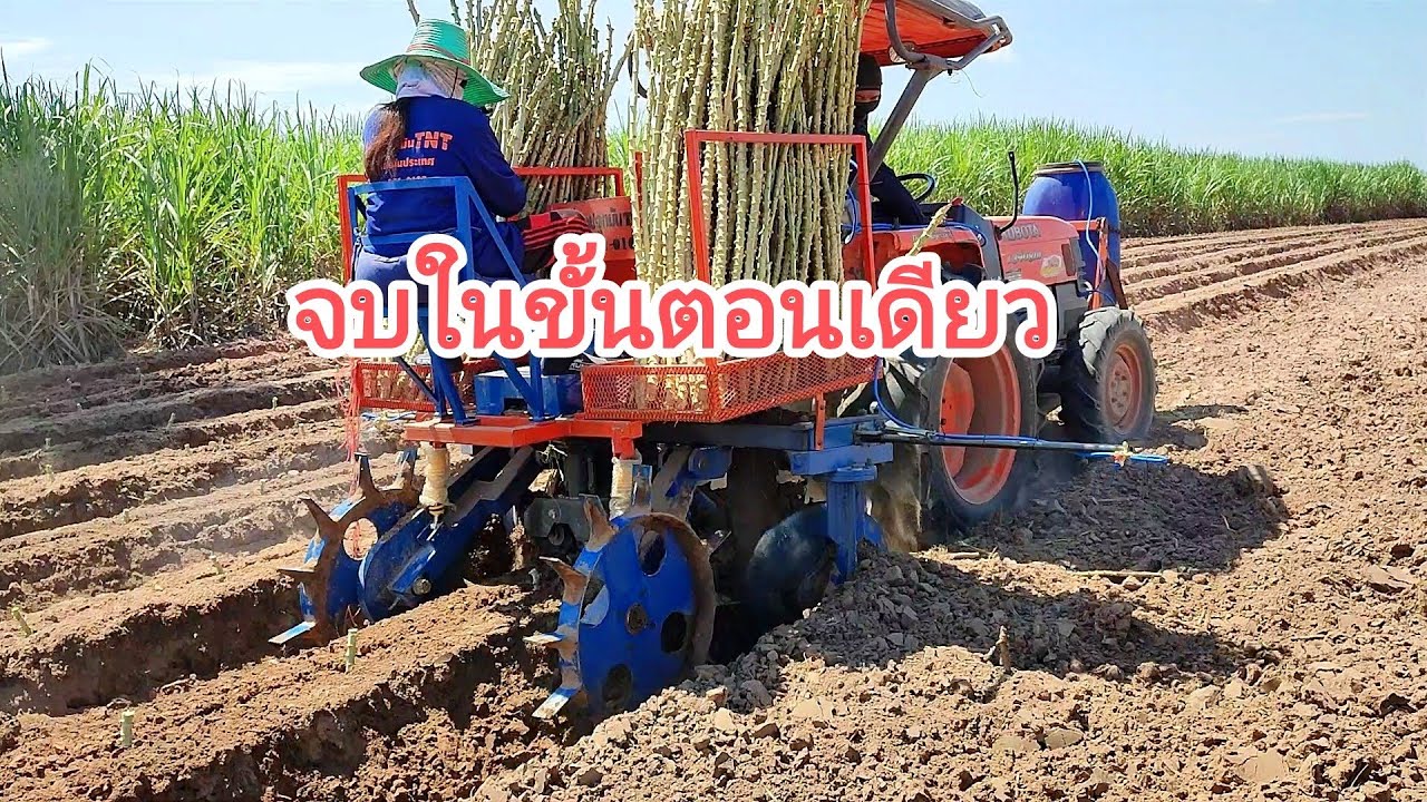 เครื่องปลูกมันสำปะหลัง TNT ปลูกพร้อมใส่ปุ๋ยฉีดยาคุมจบในครั้งเดียว กับ Kobota L3408DI