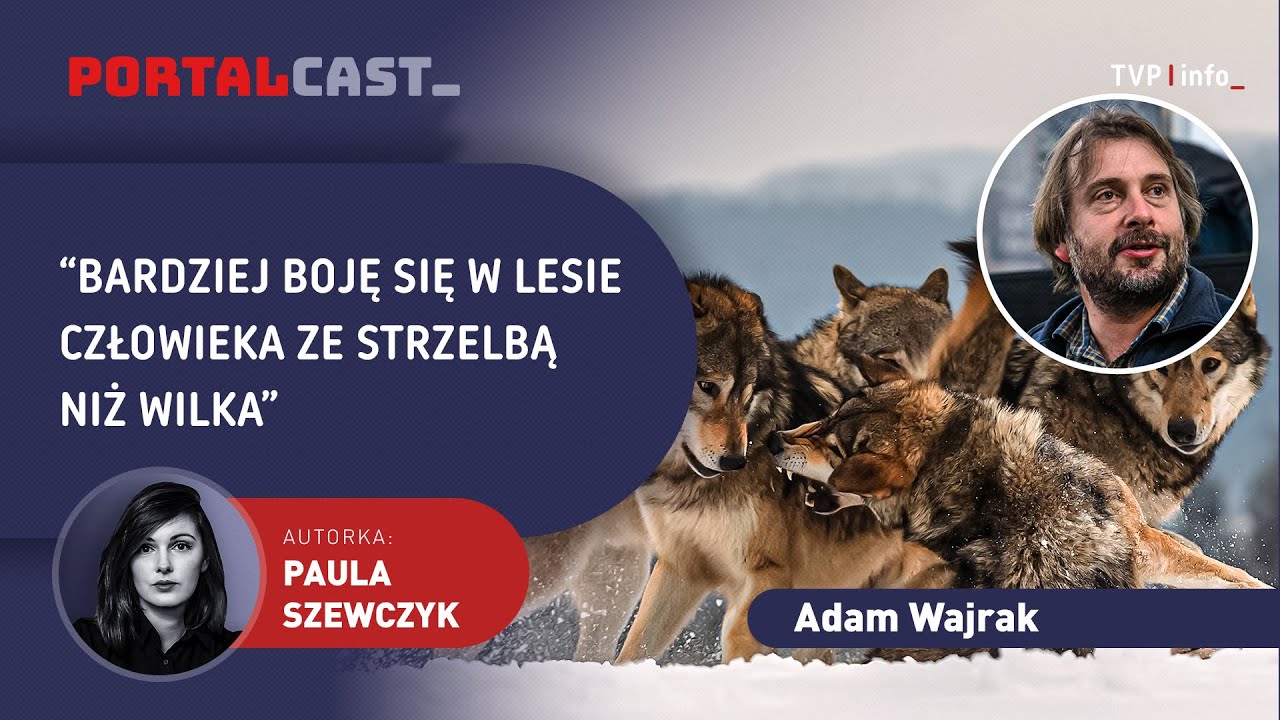 Wilki w lesie pod Warszawą? &bdquo;One bardziej boją się ludzi niż odwrotnie&rdquo; | Adam Wajrak | PORTALCAST