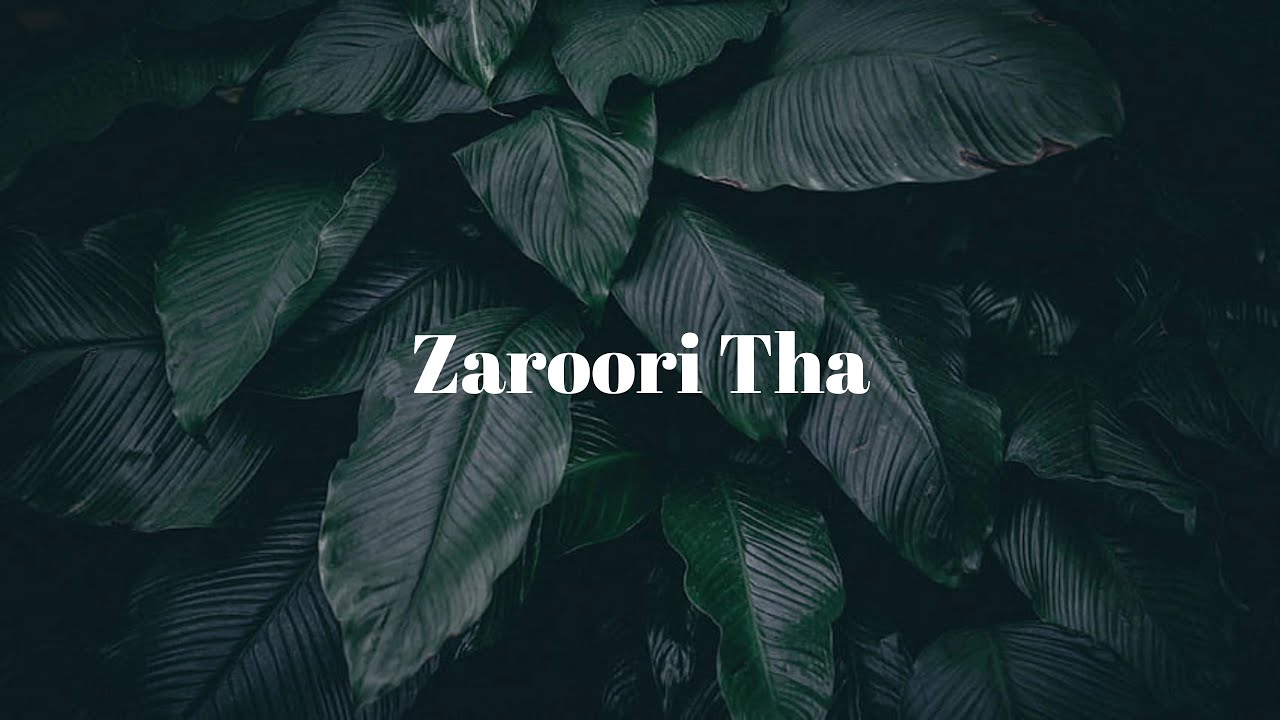 Zaroori Tha Lyric English Translation | Rahat Fateh Ali Khan
