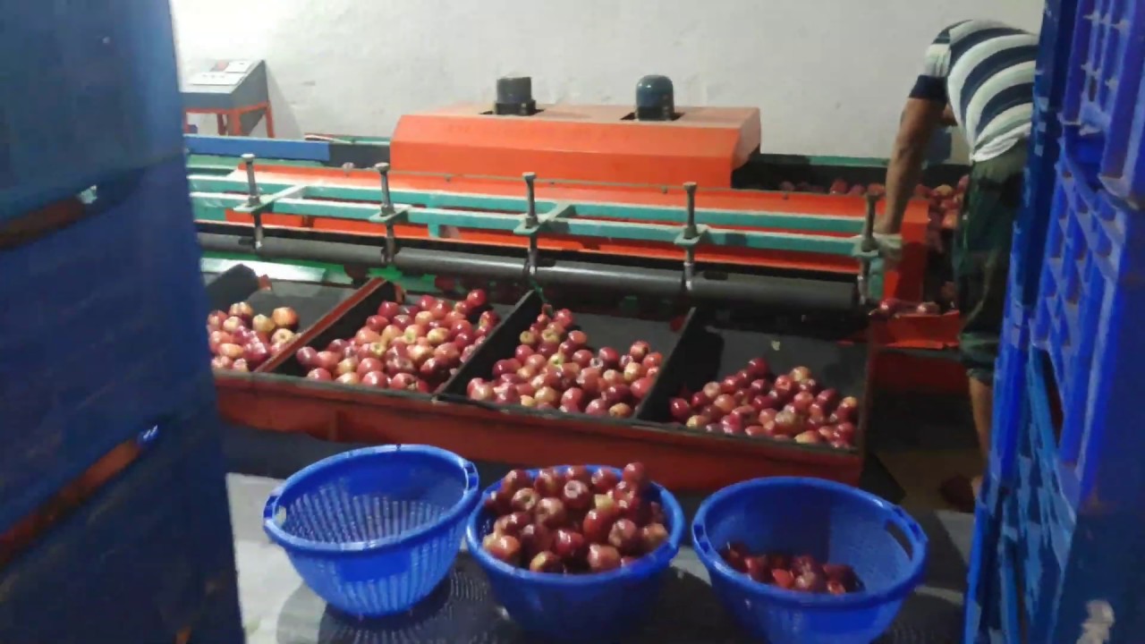 👍😊| Apple grading machine Latest 2019 |👍😊