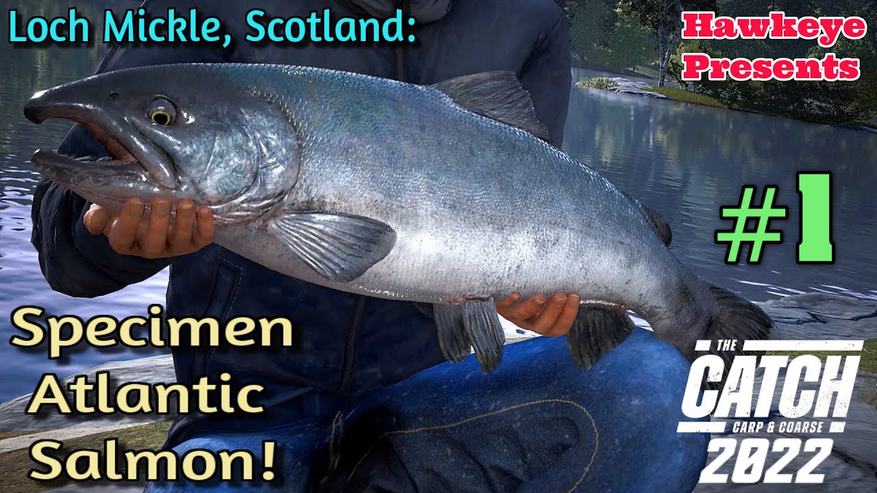 THE CATCH: Carp and Coarse - Season 2 (2022) - Loch Mickle, Scotland : Specimen Atlantic Salmon!